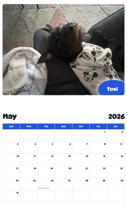 2026 - 2027 Tovi - Pawidols Pet Calendar