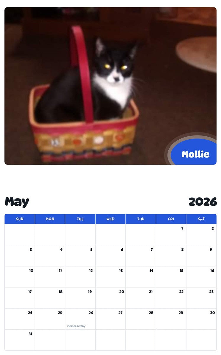 2026 - 2027 Mollie - Pawidols Pet Calendar