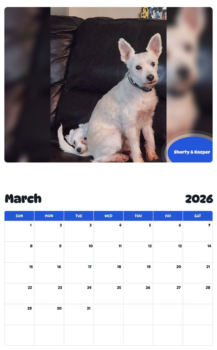 November 2025 - October 2026 Shorty & Kazper - Pawidols Pet Calendar