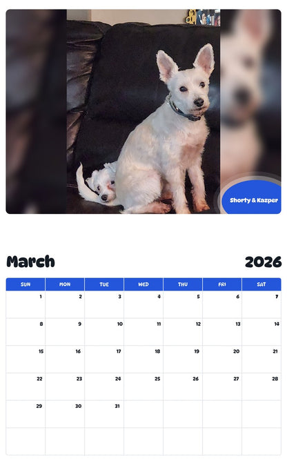 November 2025 - October 2026 Shorty & Kazper - Pawidols Pet Calendar
