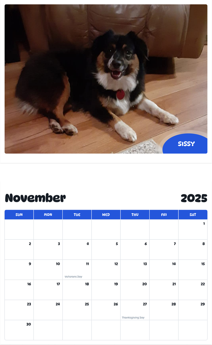 July 2025 - June 2026 Sissy - Pawidols Pet Calendar