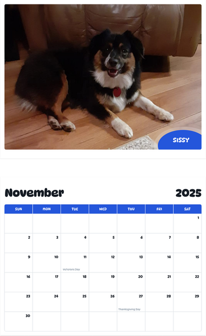 July 2025 - June 2026 Sissy - Pawidols Pet Calendar