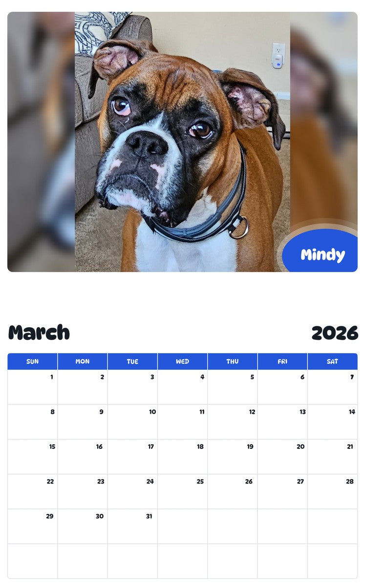 November 2025 - October 2026 Mindy - Pawidols Pet Calendar