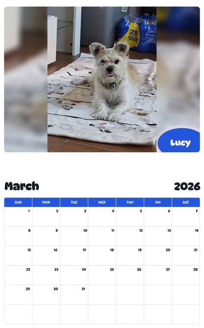 November 2025 - October 2026 Lucy - Pawidols Pet Calendar