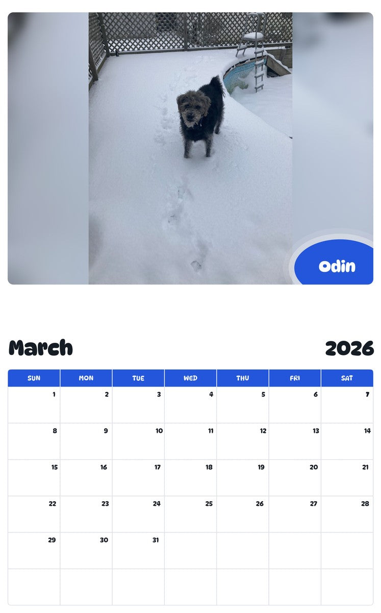 November 2025 - October 2026 Odin - Pawidols Pet Calendar