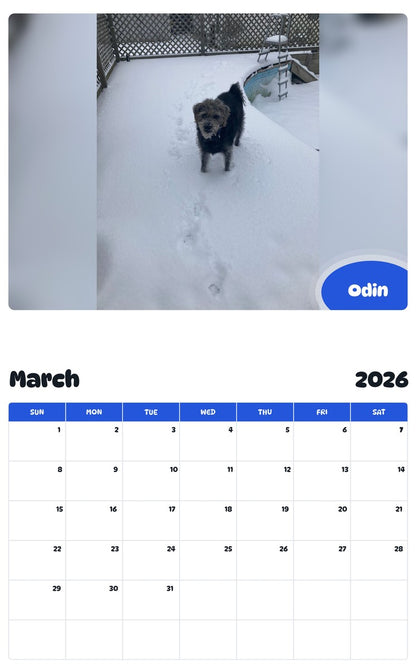 November 2025 - October 2026 Odin - Pawidols Pet Calendar