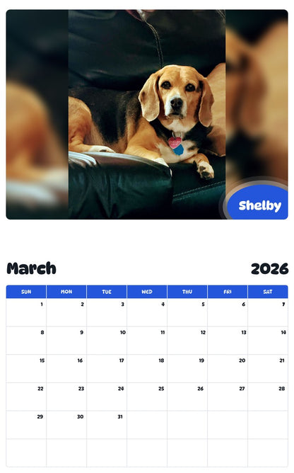 November 2025 - October 2026 Shelby - Pawidols Pet Calendar