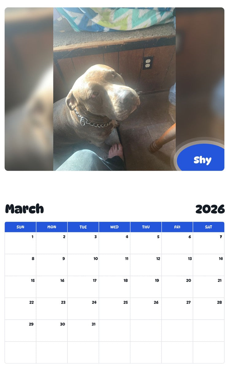 November 2025 - October 2026 Shy - Pawidols Pet Calendar