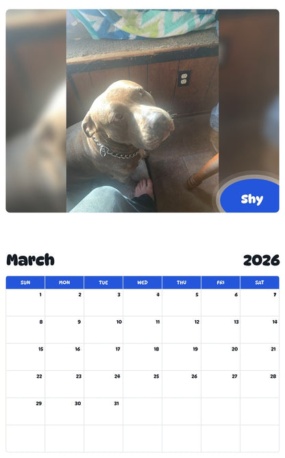 November 2025 - October 2026 Shy - Pawidols Pet Calendar