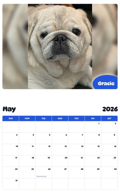 2026 - 2027 Gracie - Pawidols Pet Calendar