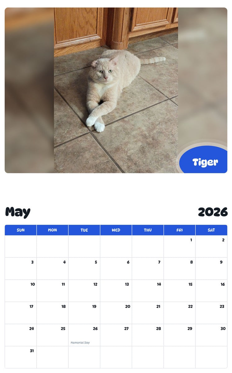 2026 - 2027 Tiger - Pawidols Pet Calendar