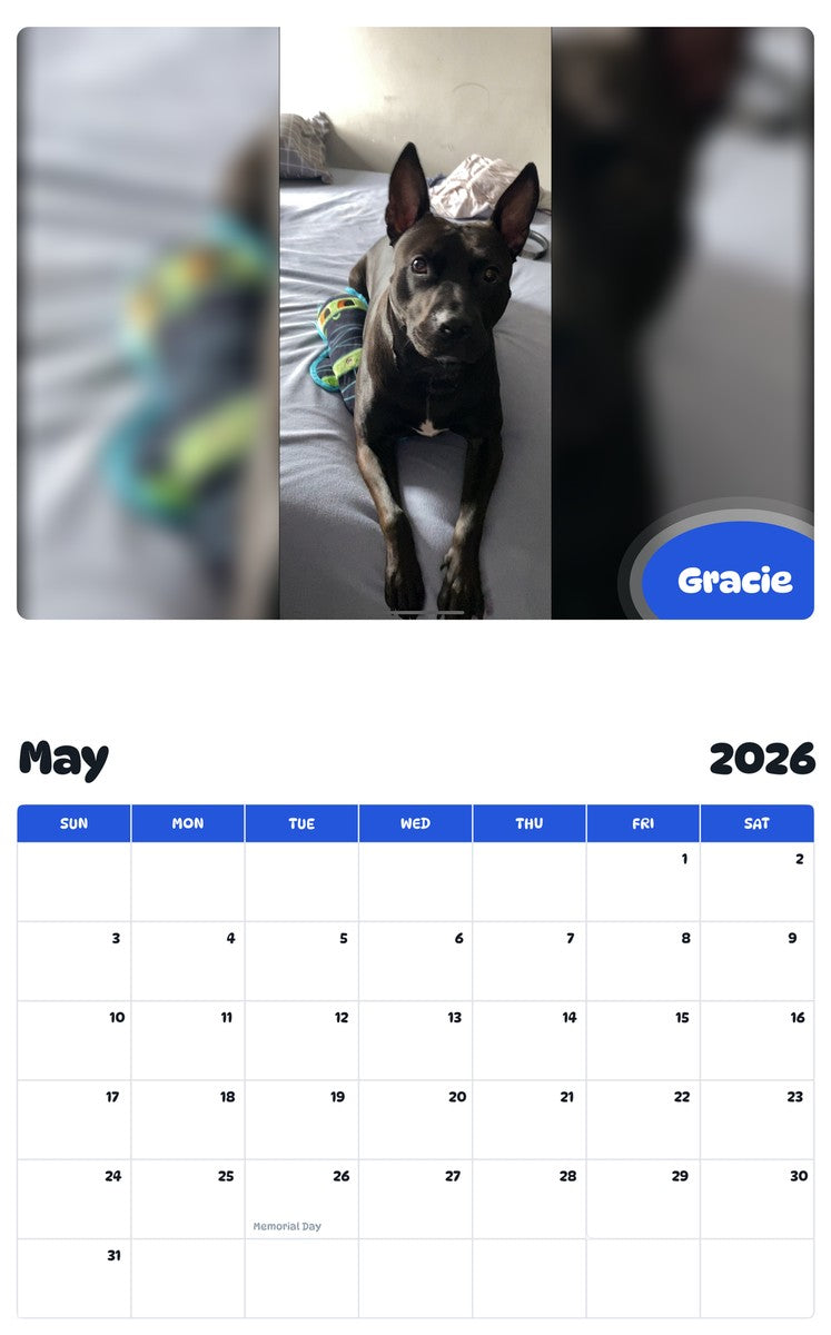 2026 - 2027 Gracie - Pawidols Pet Calendar