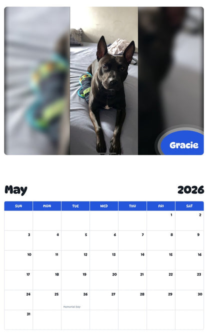 2026 - 2027 Gracie - Pawidols Pet Calendar