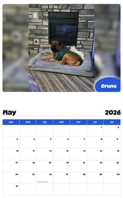 2026 - 2027 Bruno - Pawidols Pet Calendar