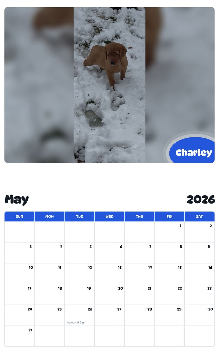 2026 - 2027 Charley - Pawidols Pet Calendar