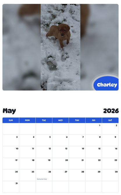 2026 - 2027 Charley - Pawidols Pet Calendar