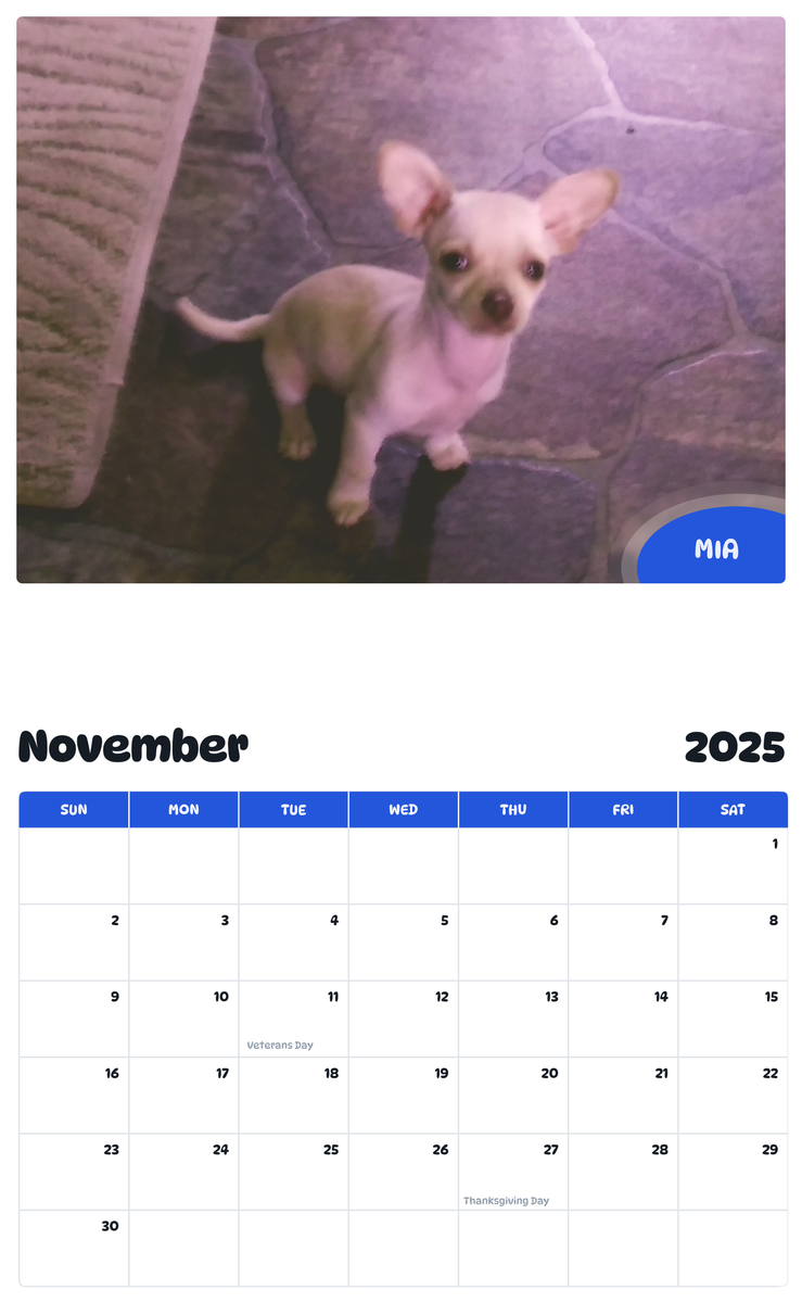 July 2025 - June 2026 Mia - Pawidols Pet Calendar