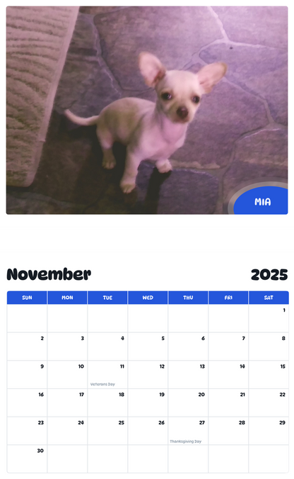 July 2025 - June 2026 Mia - Pawidols Pet Calendar
