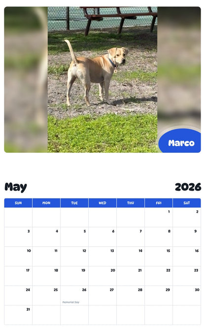 2026 - 2027 Marco - Pawidols Pet Calendar