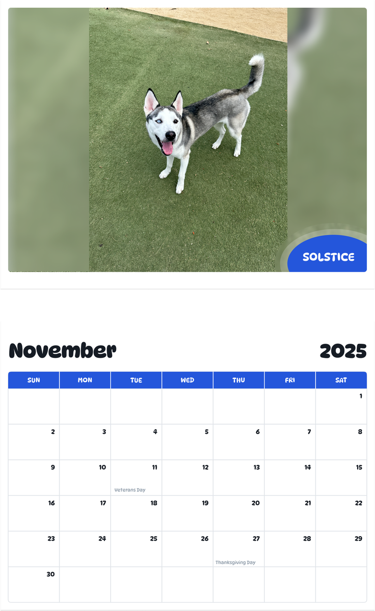 July 2025 - June 2026 Solstice - Pawidols Pet Calendar