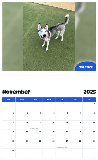 July 2025 - June 2026 Solstice - Pawidols Pet Calendar