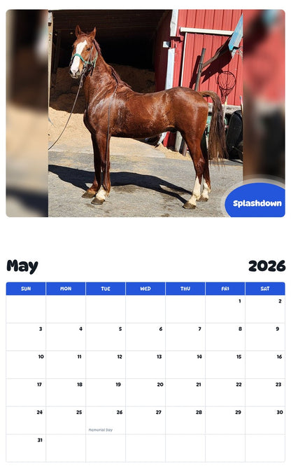 2026 - 2027 Splashdown - Pawidols Pet Calendar