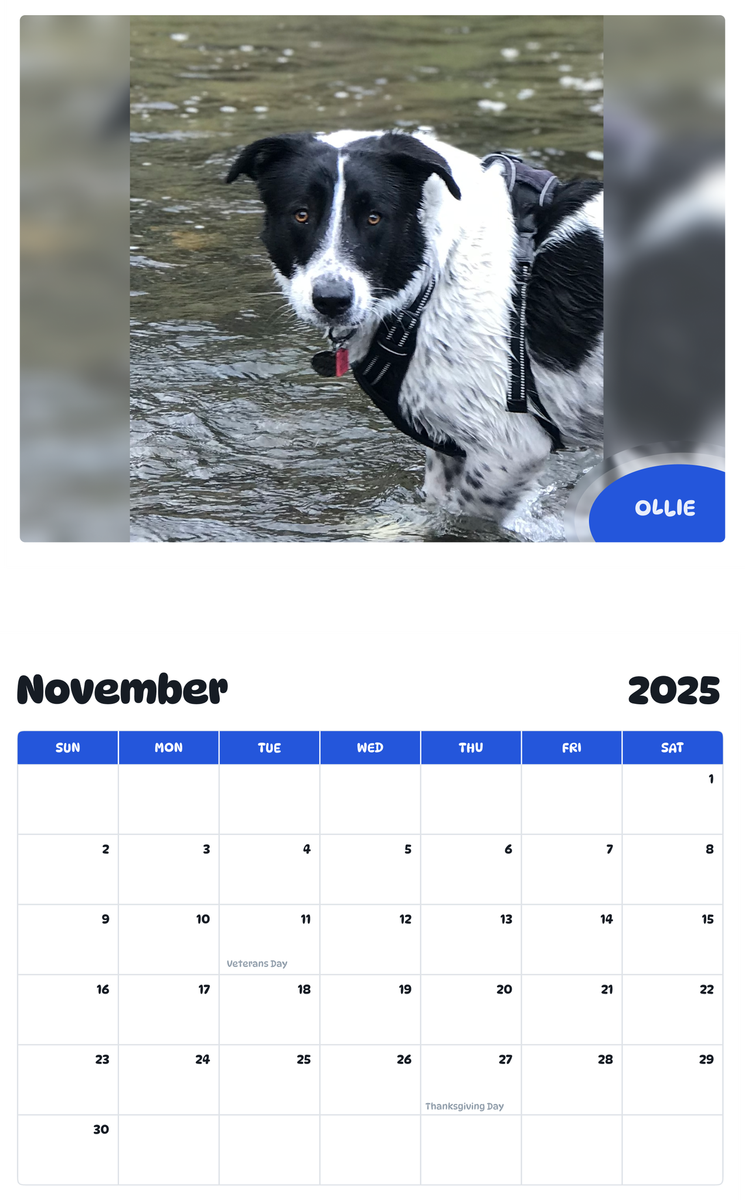 July 2025 - June 2026 Ollie - Pawidols Pet Calendar