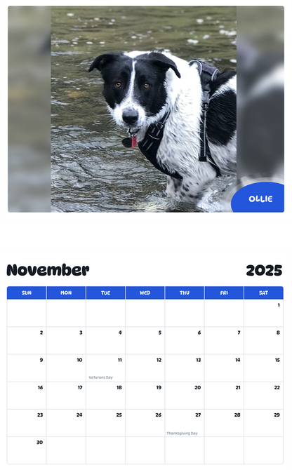 July 2025 - June 2026 Ollie - Pawidols Pet Calendar