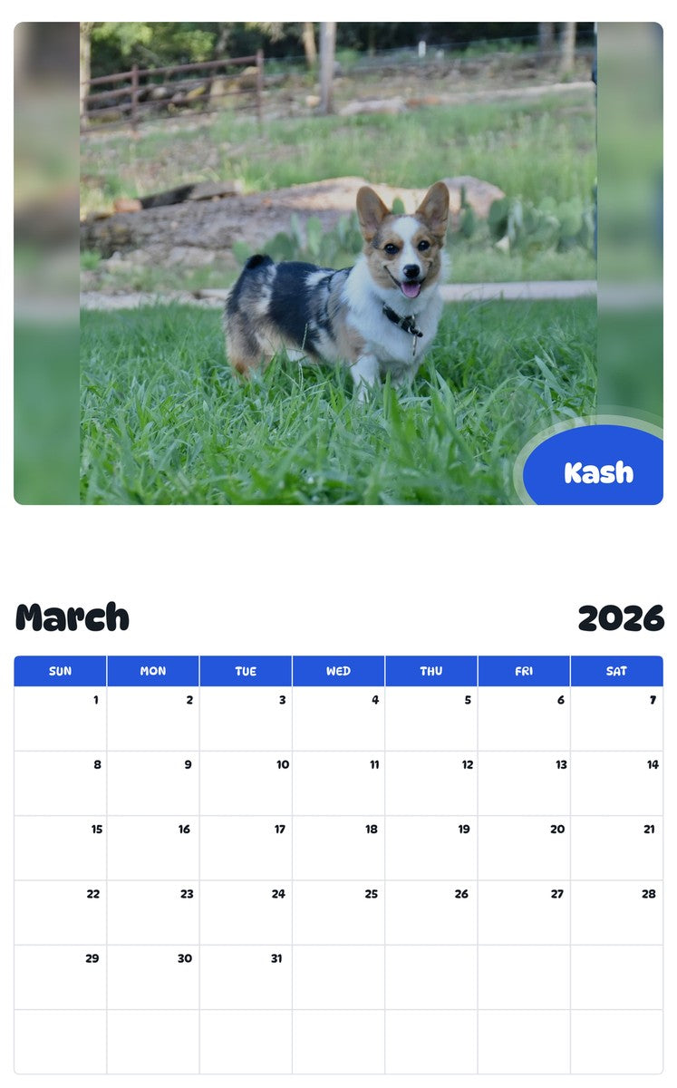 November 2025 - October 2026 Kash - Pawidols Pet Calendar