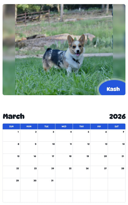 November 2025 - October 2026 Kash - Pawidols Pet Calendar