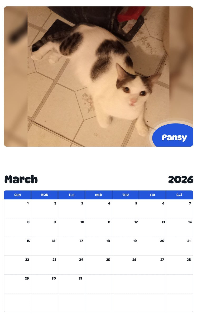 November 2025 - October 2026 Pansy - Pawidols Pet Calendar