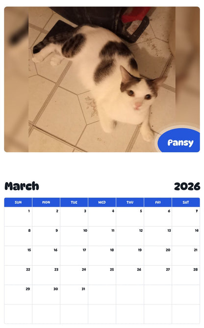 November 2025 - October 2026 Pansy - Pawidols Pet Calendar
