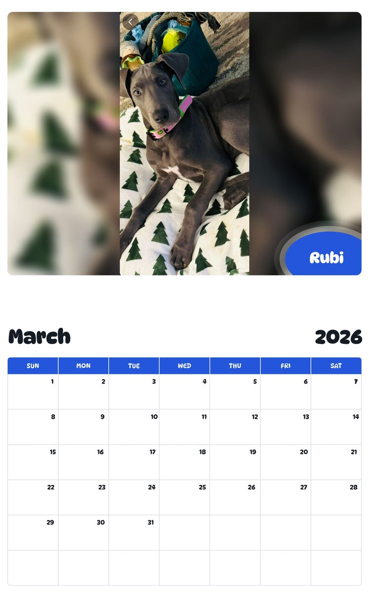 November 2025 - October 2026 Rubi - Pawidols Pet Calendar