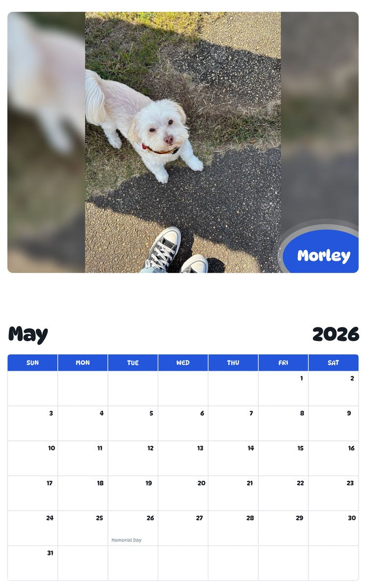 2026 - 2027 Morley - Pawidols Pet Calendar