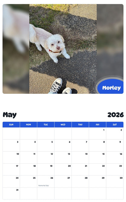 2026 - 2027 Morley - Pawidols Pet Calendar