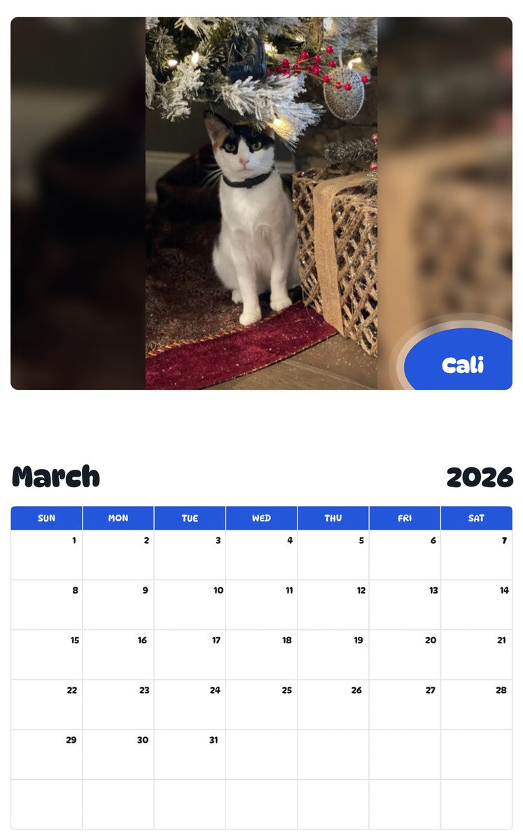 November 2025 - October 2026 Cali - Pawidols Pet Calendar