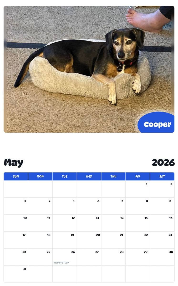 2026 - 2027 Cooper - Pawidols Pet Calendar