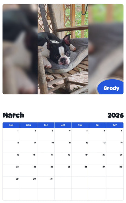 November 2025 - October 2026 Brody - Pawidols Pet Calendar