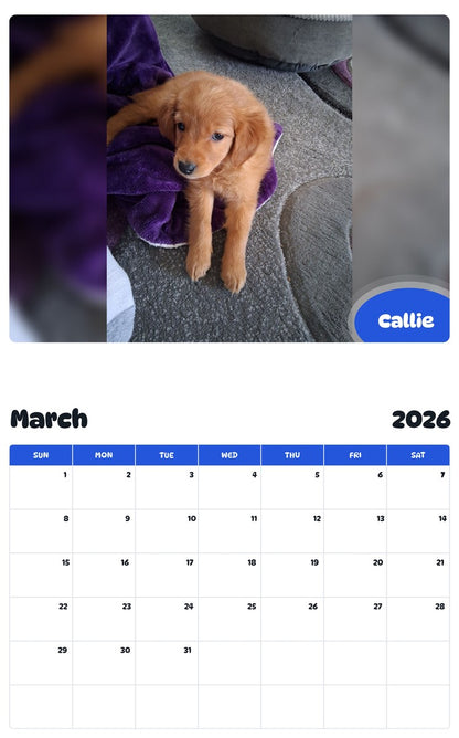 November 2025 - October 2026 Callie - Pawidols Pet Calendar