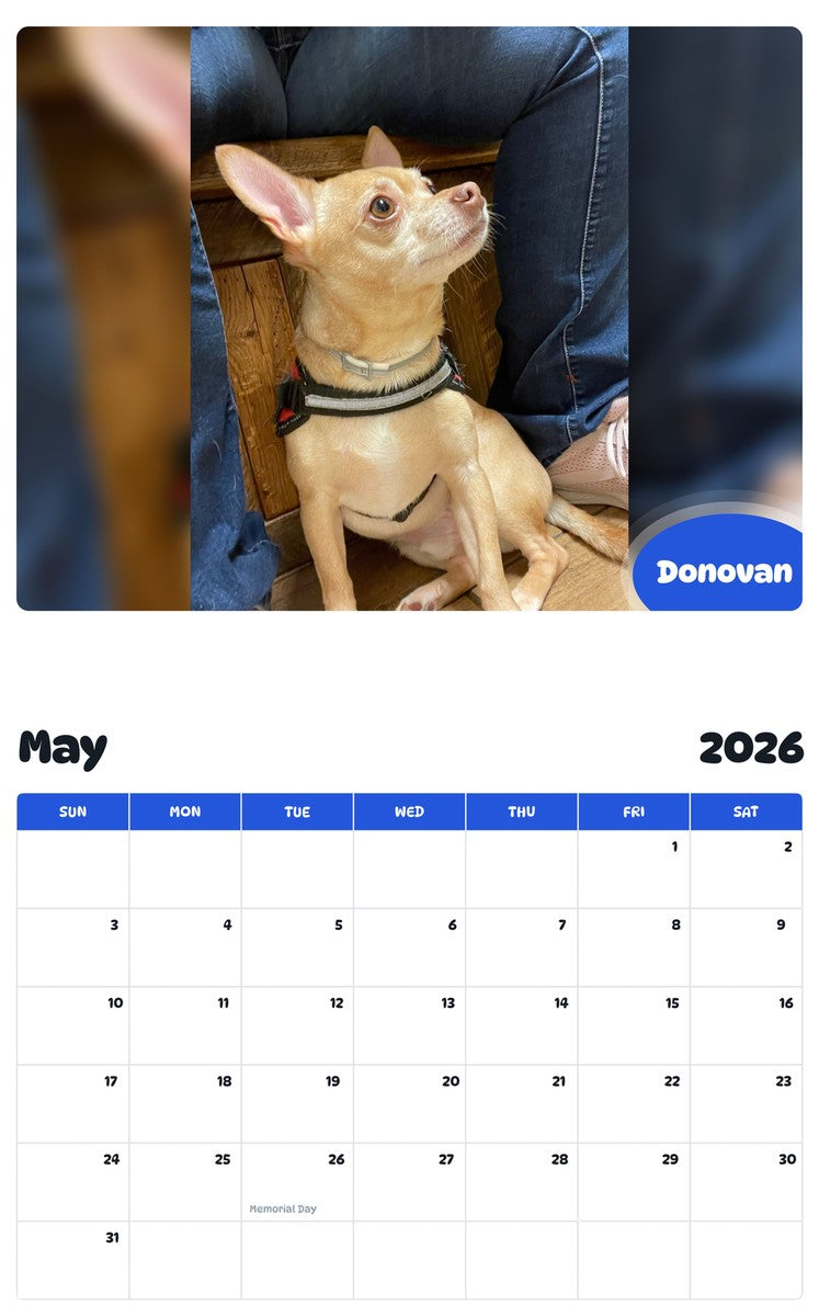 2026 - 2027 Donovan - Pawidols Pet Calendar