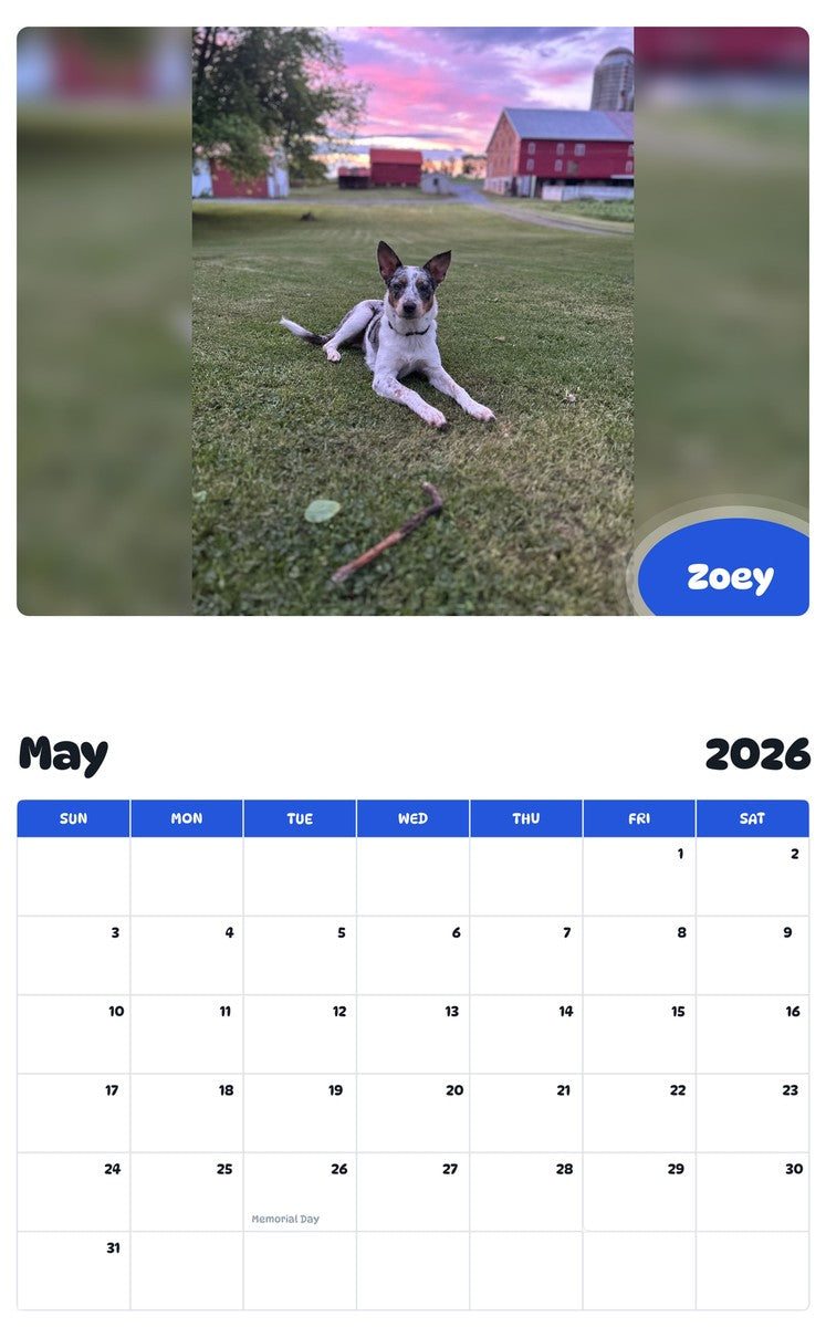 2026 - 2027 Zoey - Pawidols Pet Calendar
