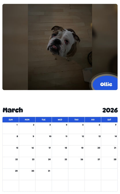 November 2025 - October 2026 Ollie - Pawidols Pet Calendar