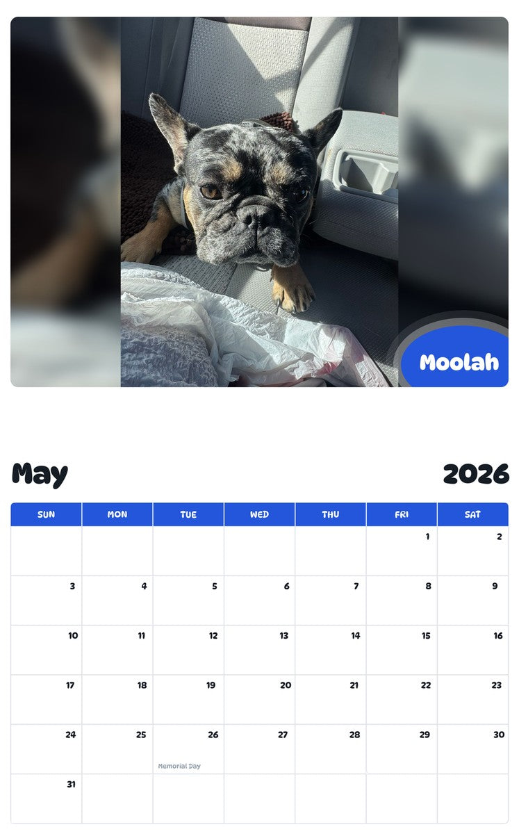 2026 - 2027 Moolah - Pawidols Pet Calendar