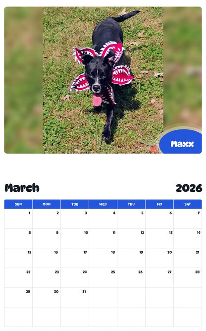 November 2025 - October 2026 Maxx - Pawidols Pet Calendar
