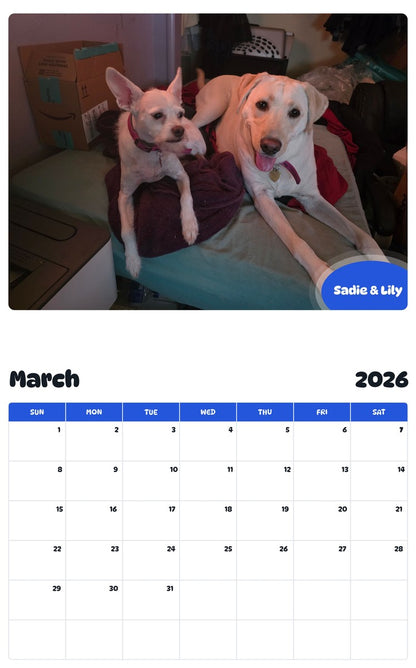 November 2025 - October 2026 Sadie & Lily - Pawidols Pet Calendar