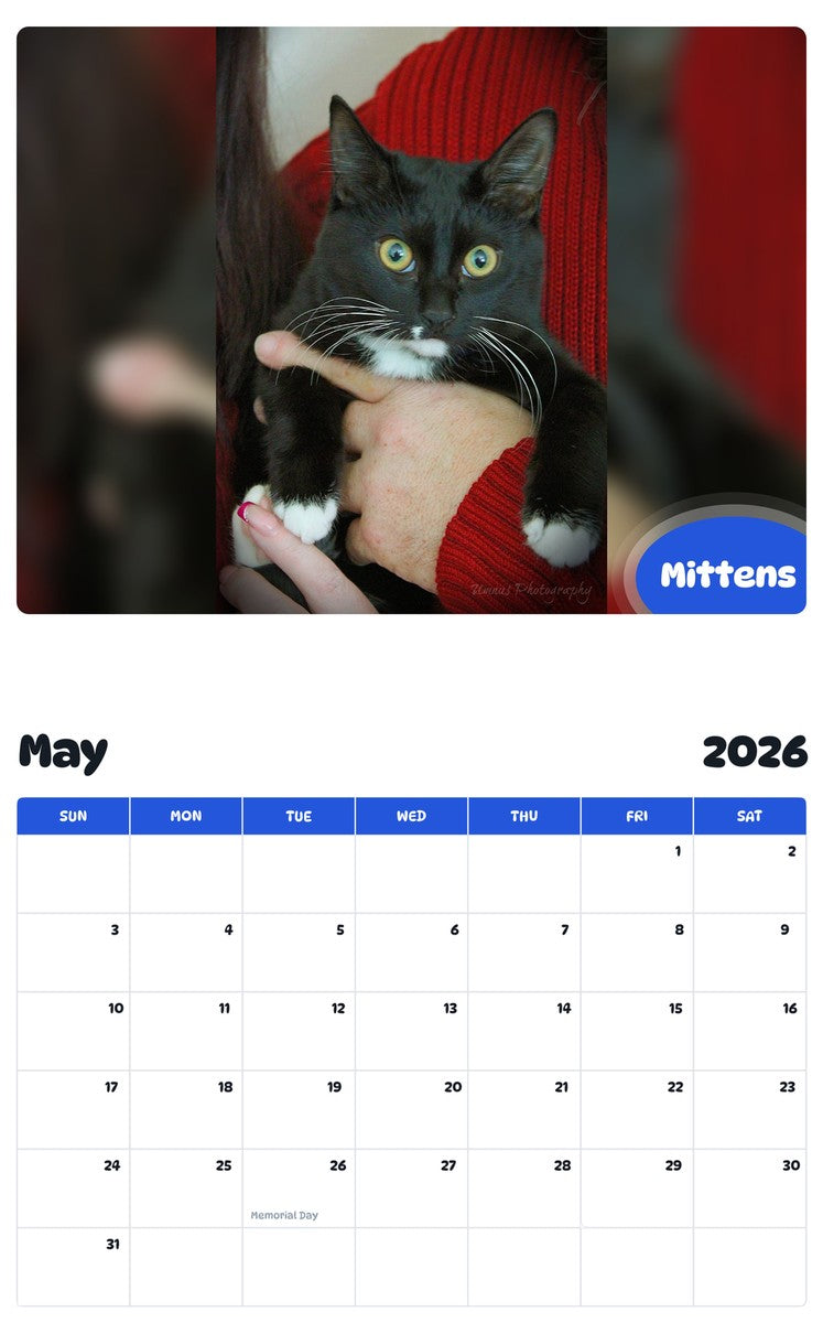 2026 - 2027 Mittens - Pawidols Pet Calendar