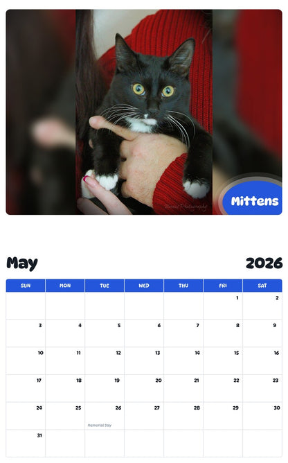 2026 - 2027 Mittens - Pawidols Pet Calendar