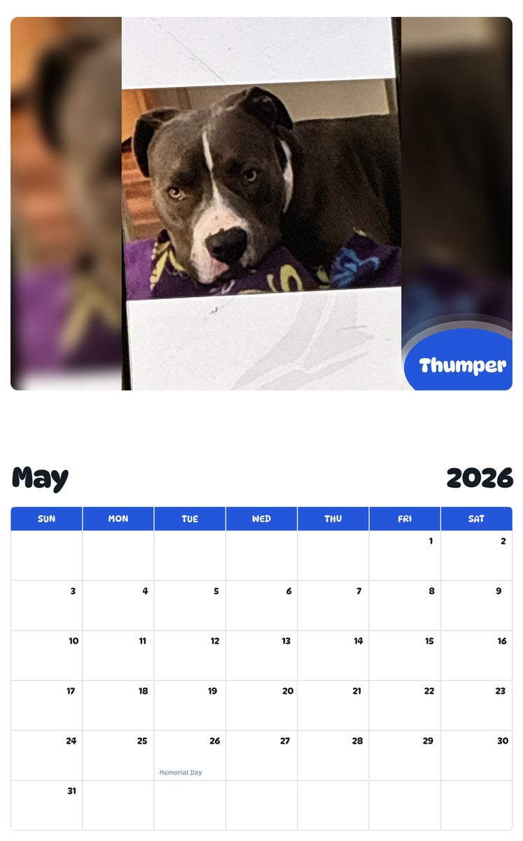 2026 - 2027 Thumper - Pawidols Pet Calendar