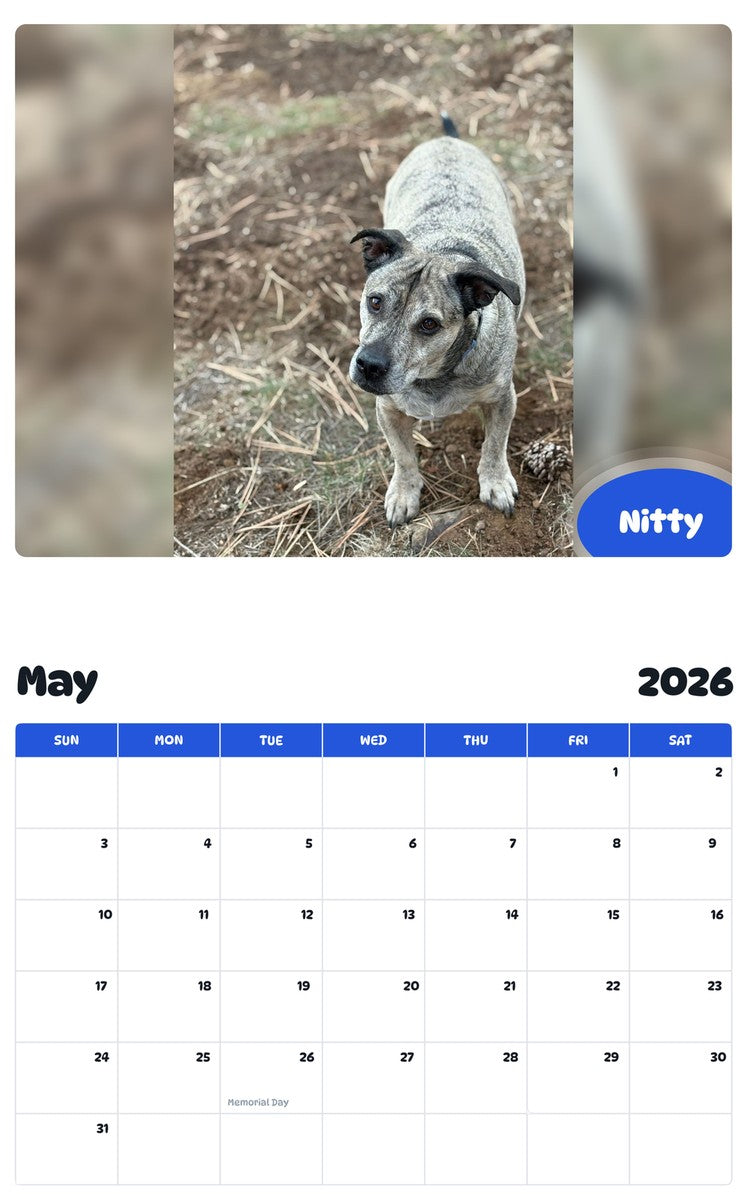2026 - 2027 Nitty - Pawidols Pet Calendar