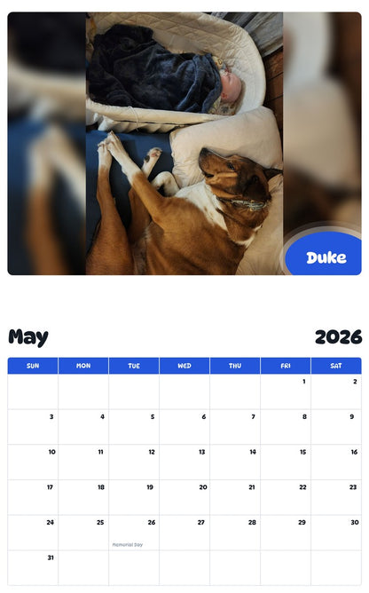 2026 - 2027 Duke - Pawidols Pet Calendar